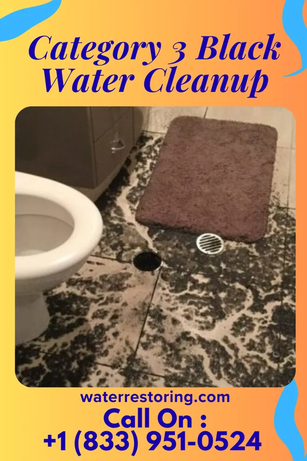 Category 3 Black Water Cleanup in Webster, WI