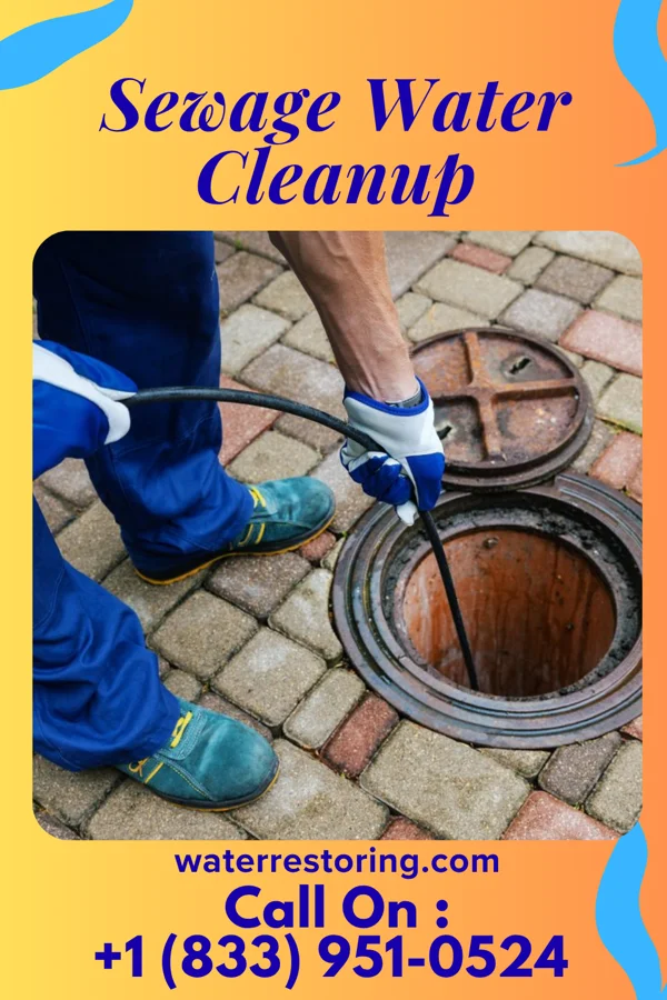 Sewage Water Cleanup in Webster, WI